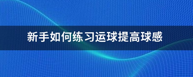 新手篮球运球训练